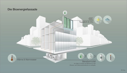 <p><strong>Die Bioenergiefassade nutzt das Sonnenlicht, um Wärme und Biomasse zu produzieren. In der Effizienz ist sie mit etablierten solaren Systemen vergleichbar.</strong></p> - © Foto: ARUP