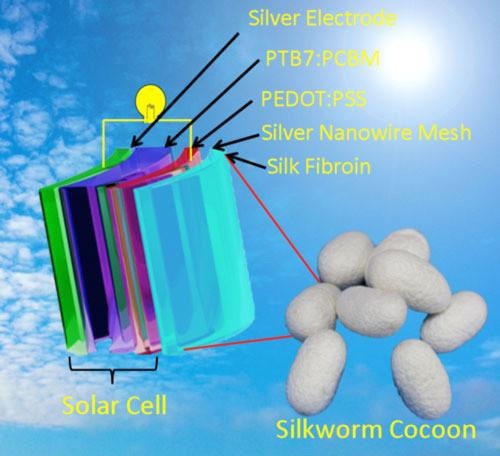 Die Solarzelle mit Seidenspinnerraupen-Kokon-Material. - © Grafik: Sun Group, Soochow University