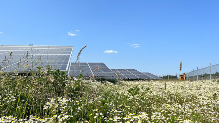 Nur gut die Hälfte der Projekte, die zur Förderung angetreten haben, bekommen eine Marktprämie. - © WI Energy
