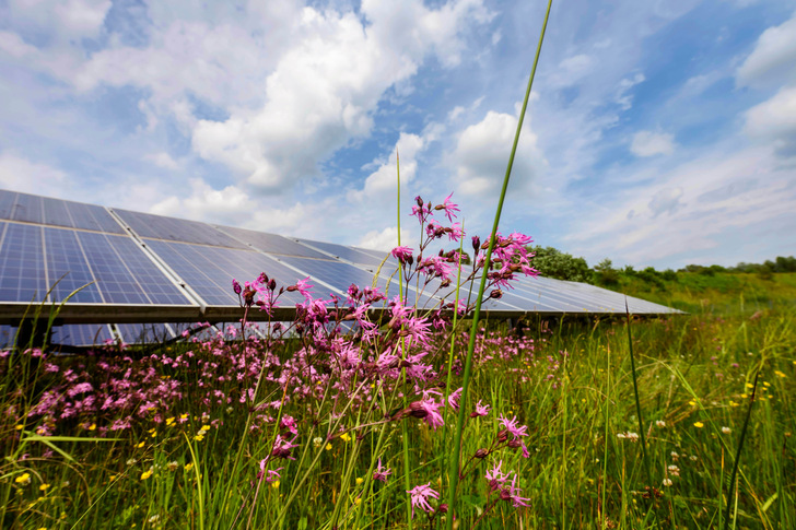 Der Energiepark Gundelsheim ist ein Leuchtturmprojekt der EnBW. - © ARTIS - Uli Deck
