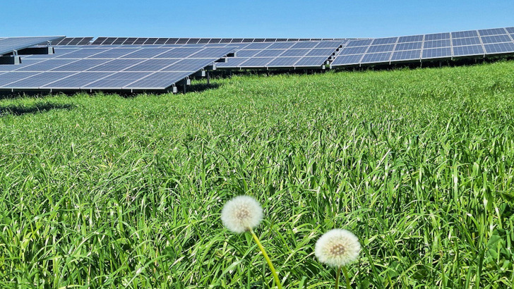 In Silberstedt baut Vattenfall seinen ersten Solarpark mit Bürgerbeteiligung. Damit will das Unternehmen unter anderem die Akzeptanz weiter förder. - © Vattenfall