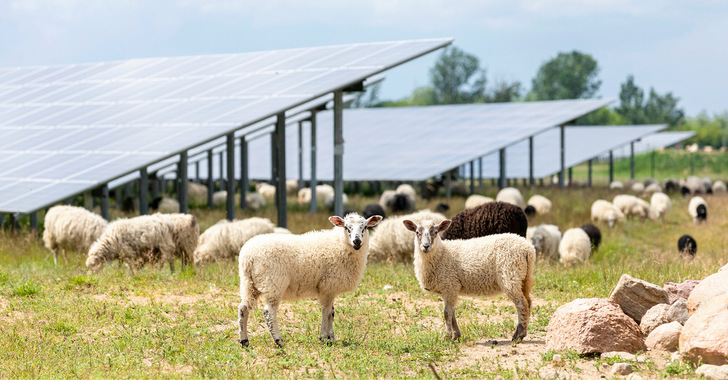 Modulpreise rutschen auf schiefer Ebene ab. - © Foto: EnBW/Paul-Langrock.de