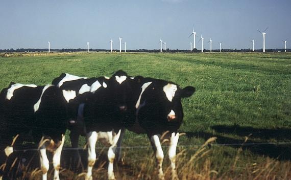 Der erste Windpark von Energiekontor: Misselwarden, zehn mal 500 Kilowatt. 1994. - © Foto: Enertrag