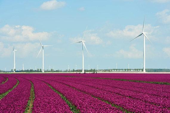 Frankreich | Windenergie in Frankreich - © Senvion Frankreich | Windenergie in Frankreich