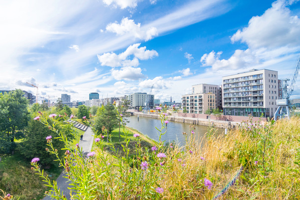 Fluss mit modernen Gebäuden, Bäumen und Wildblumen unter einem blauen Himmel mit vereinzelten Wolken. - © Adobe Stock, Philipp Gegner